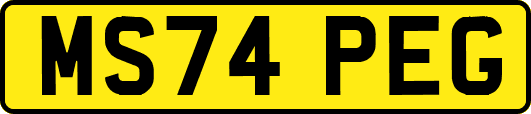 MS74PEG