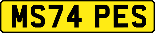 MS74PES