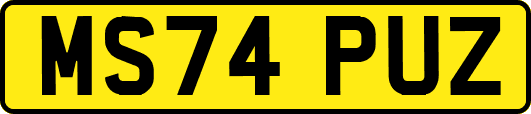 MS74PUZ