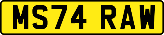 MS74RAW