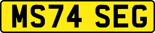 MS74SEG