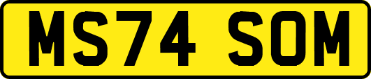 MS74SOM