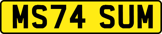 MS74SUM