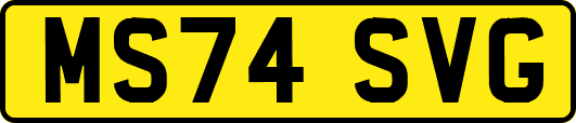 MS74SVG