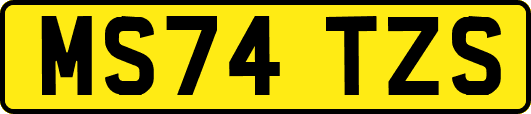 MS74TZS