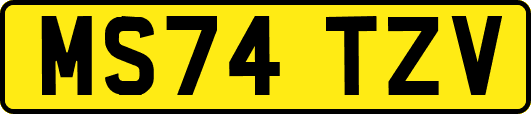 MS74TZV