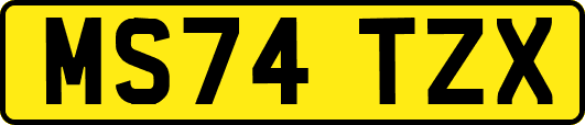 MS74TZX
