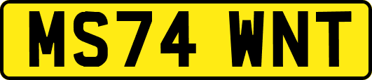 MS74WNT