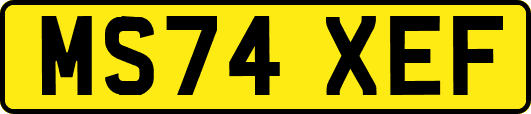 MS74XEF