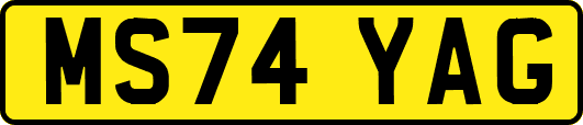 MS74YAG