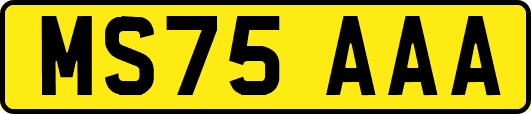 MS75AAA