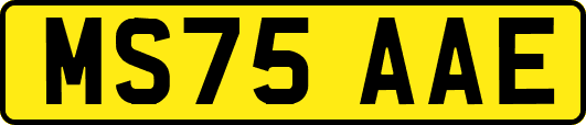 MS75AAE