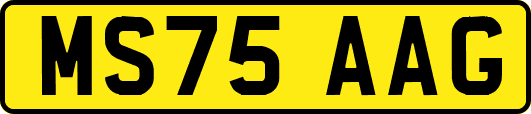 MS75AAG