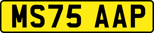 MS75AAP