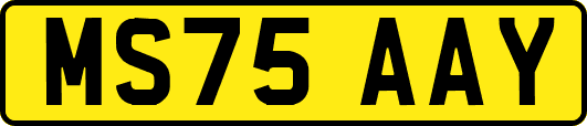 MS75AAY