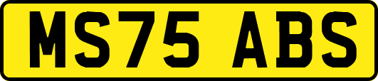 MS75ABS