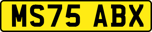 MS75ABX