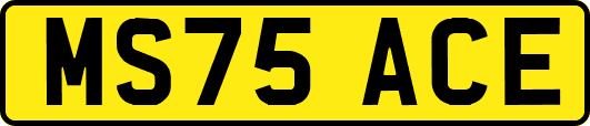 MS75ACE