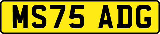 MS75ADG