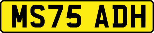 MS75ADH