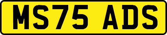 MS75ADS