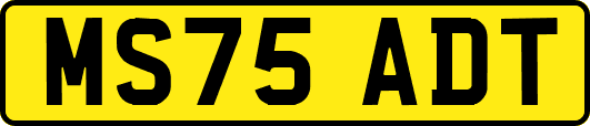 MS75ADT