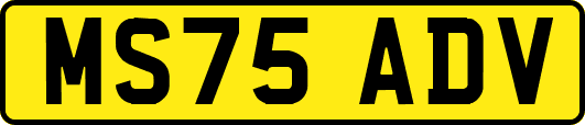 MS75ADV