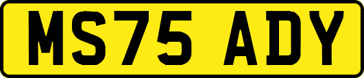 MS75ADY