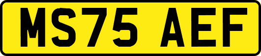MS75AEF