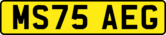 MS75AEG