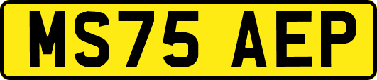 MS75AEP