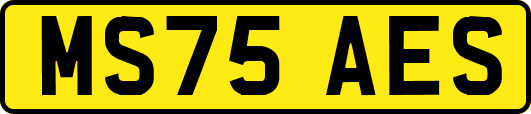 MS75AES