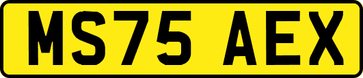 MS75AEX