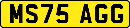 MS75AGG