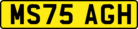 MS75AGH