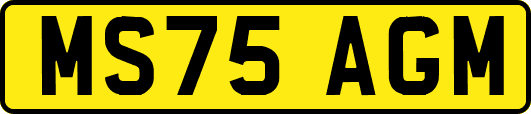 MS75AGM