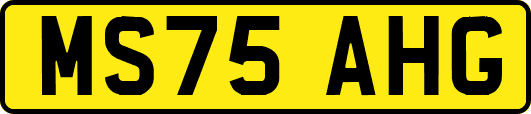 MS75AHG