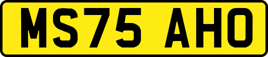 MS75AHO