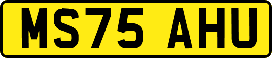 MS75AHU