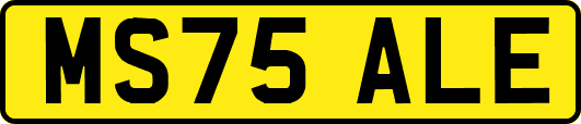 MS75ALE
