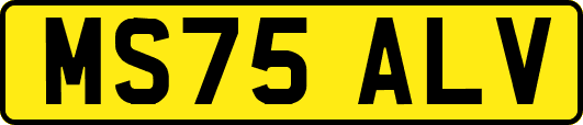 MS75ALV