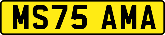 MS75AMA