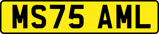 MS75AML