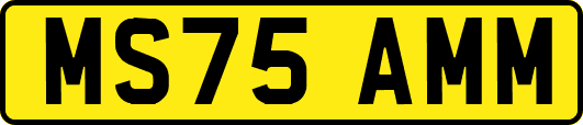 MS75AMM