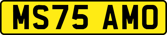 MS75AMO