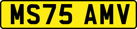 MS75AMV