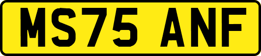 MS75ANF