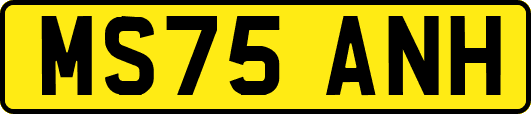 MS75ANH