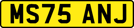 MS75ANJ