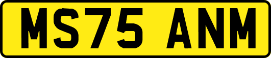 MS75ANM